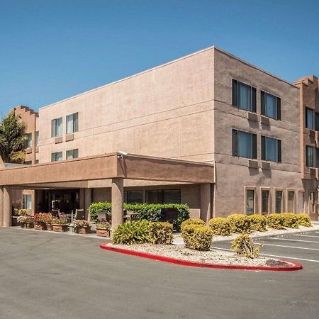 Comfort Inn Silicon Valley East Fremont Eksteriør billede