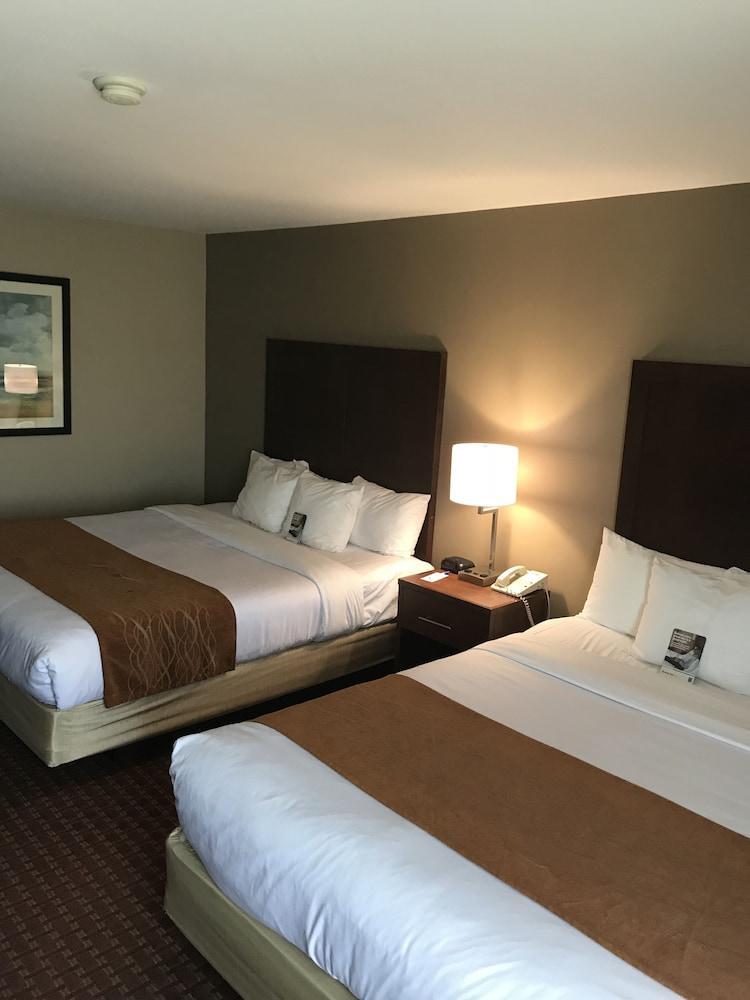 Comfort Inn Silicon Valley East Fremont Eksteriør billede
