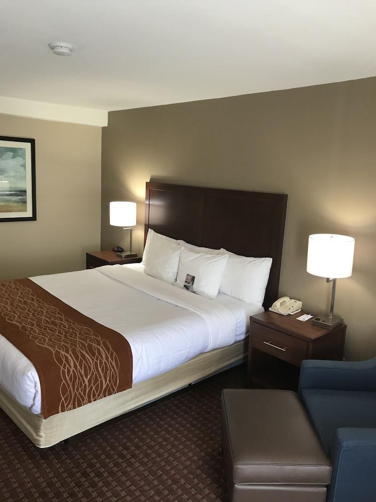 Comfort Inn Silicon Valley East Fremont Eksteriør billede