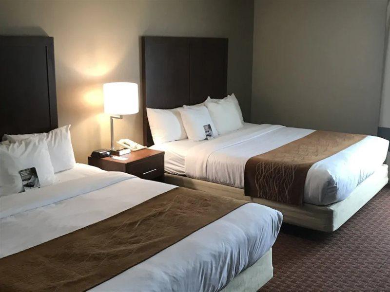 Comfort Inn Silicon Valley East Fremont Eksteriør billede