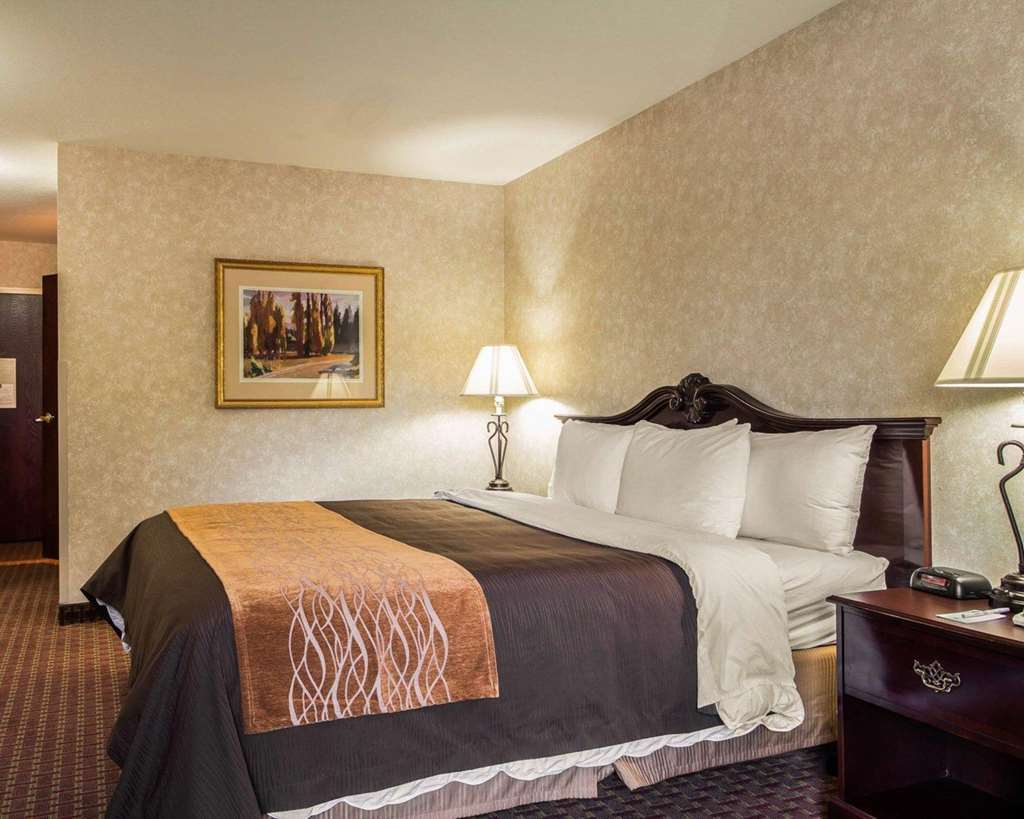 Comfort Inn Silicon Valley East Fremont Værelse billede