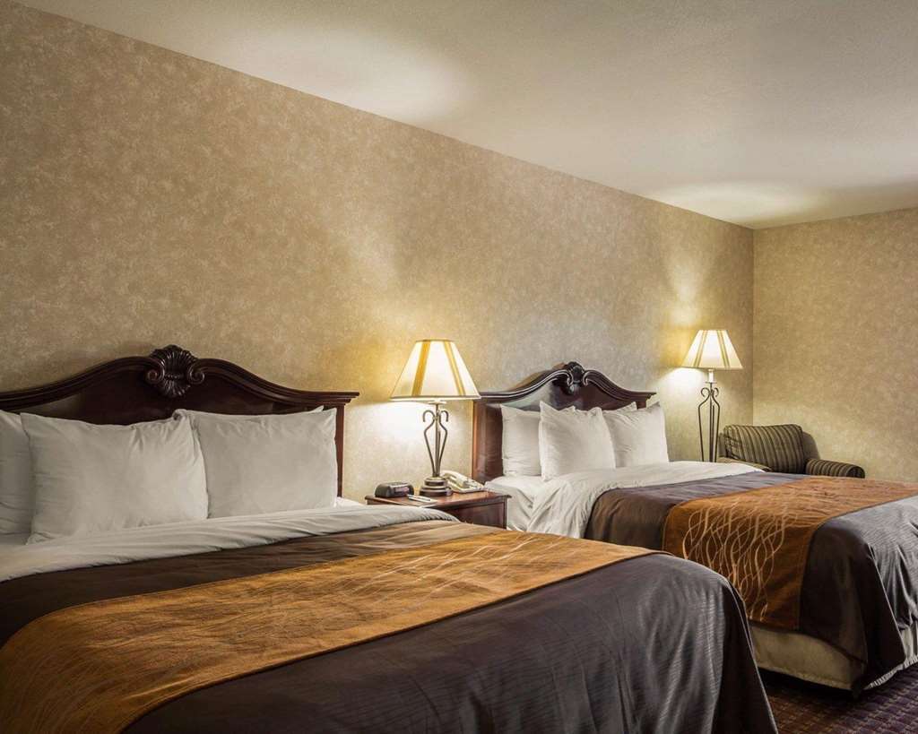Comfort Inn Silicon Valley East Fremont Værelse billede
