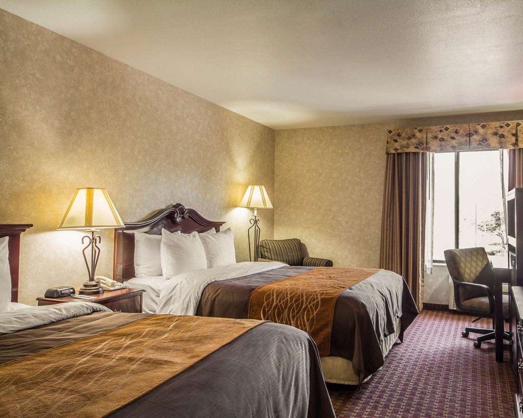 Comfort Inn Silicon Valley East Fremont Værelse billede