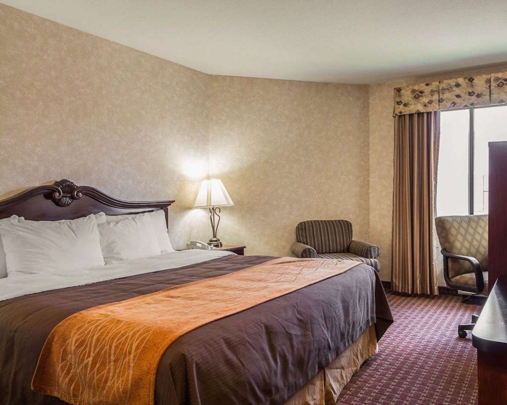 Comfort Inn Silicon Valley East Fremont Værelse billede