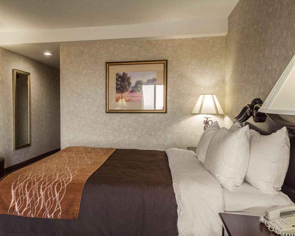 Comfort Inn Silicon Valley East Fremont Værelse billede