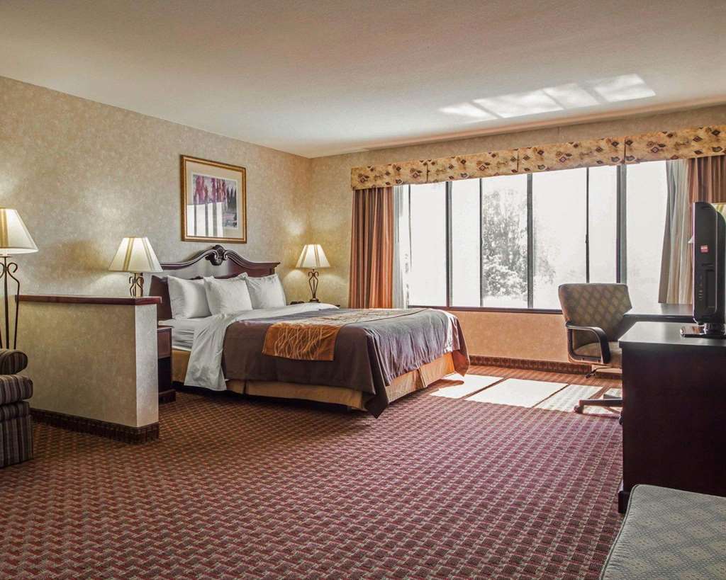 Comfort Inn Silicon Valley East Fremont Værelse billede