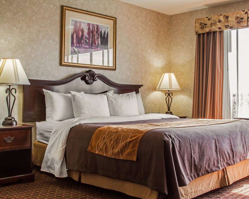 Comfort Inn Silicon Valley East Fremont Værelse billede
