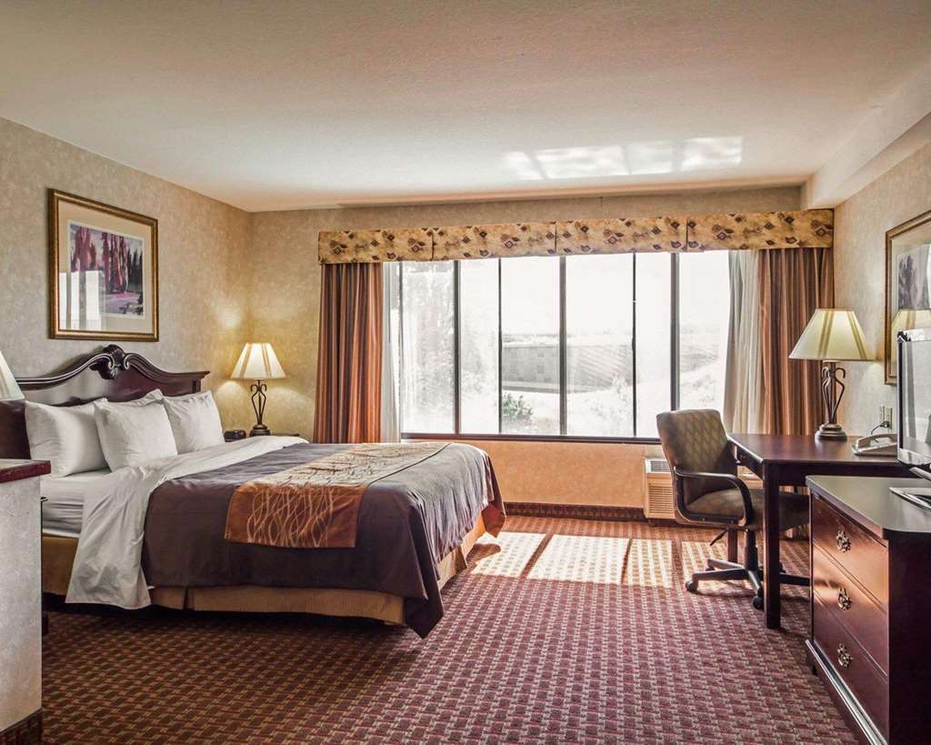 Comfort Inn Silicon Valley East Fremont Værelse billede