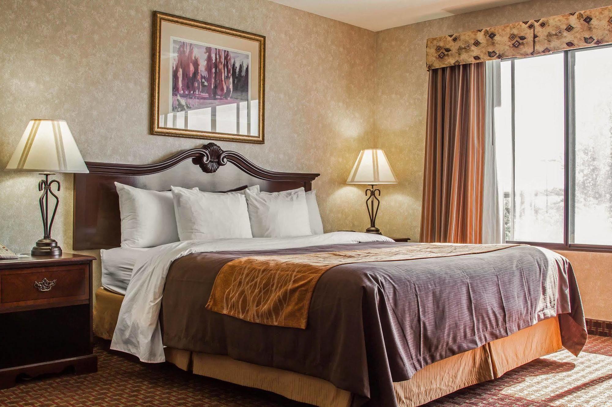 Comfort Inn Silicon Valley East Fremont Eksteriør billede